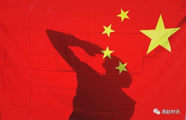 可爱的小考拉